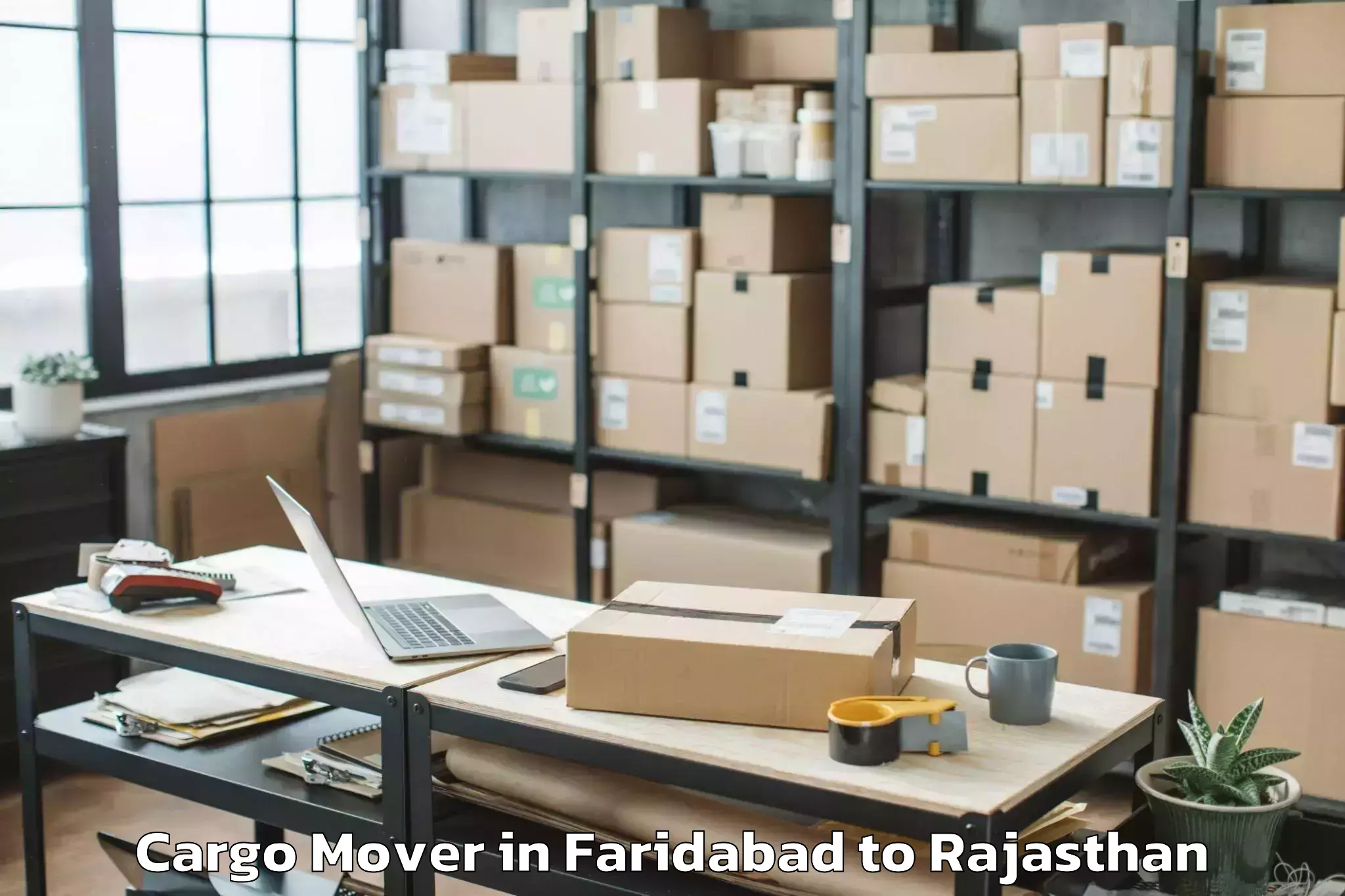 Reliable Faridabad to Indergarh Cargo Mover